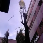 Afacere 2 imagine A-B ALPIN CONSTRUCT Servicii profesionale în Bucureşti