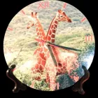 Afacere 25 imagine ADE PRINT Shopping în Sibiu