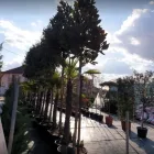 Afacere 3 imagine ADIDEM GARDENER SRL Servicii profesionale în Oradea BH