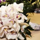 Afacere 6 imagine ANYSIA Shopping în Suceava