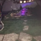 Afacere 1 imagine APACHE GARDENS Servicii profesionale în Bucureşti