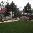 Afacere 2 imagine APACHE GARDENS Servicii profesionale în Bucureşti