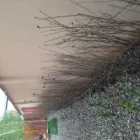 Afacere 3 imagine APACHE GARDENS Servicii profesionale în Bucureşti