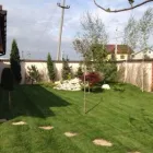 Afacere 5 imagine APACHE GARDENS Servicii profesionale în Bucureşti