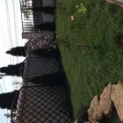 Afacere 6 imagine APACHE GARDENS Servicii profesionale în Bucureşti