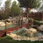 Afacere 7 imagine APACHE GARDENS Servicii profesionale în Bucureşti