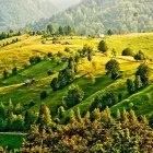 Afacere 1 imagine APICOLA S.R.L Miere şi alte produse apicole în Sibiu