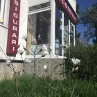 Afacere 4 imagine ARPEMIX - CONSULT BROKER DE ASIGURARE SRL Servicii legale şi financiare în Braşov