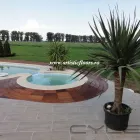 Afacere 3 imagine ARTISTIC FLOORS Produse din lemn în Chiajna IF