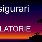 Afacere 7 imagine ATI-ASIG INMATRICULARI AUTO COMPLETE Traducători în Vişeu De Sus MM