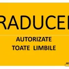 Afacere 9 imagine ATI-ASIG INMATRICULARI AUTO COMPLETE Traducători în Vişeu De Sus MM