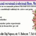 Afacere 1 imagine AZALEEA BABYSITTING Servicii profesionale în Cluj-Napoca CJ