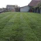 Afacere 1 imagine BAOBAB Servicii profesionale în Timişoara TM