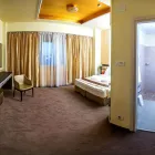 Afacere 5 imagine BEST WESTERN PLUS BRISTON Turism şi Agrement în Otopeni IF