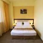 Afacere 6 imagine BEST WESTERN PLUS BRISTON Turism şi Agrement în Otopeni IF