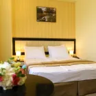 Afacere 13 imagine BEST WESTERN PLUS BRISTON Turism şi Agrement în Otopeni IF