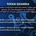 Afacere 5 imagine BIROU TRADUCERI TIG BOTOSANI Traducători în Botoşani