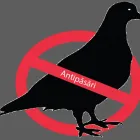 Afacere 1 imagine BISONSOL INT SRL Magazin de scule şi unelte în Oradea BH