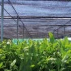 Afacere 3 imagine BISONSOL INT SRL Magazin de scule şi unelte în Oradea BH