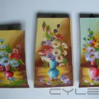 Afacere 1 imagine BOLDEA GABRIEL SERGIU IF Shopping în Craiova DJ