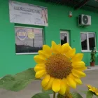 Afacere 5 imagine CABINET EXPERT CONTABIL JUSCU NICOLAE-CRISTIAN-EXPERT CONTABIL AUTORIZAT Servicii pentru afaceri în Târgu Jiu GJ