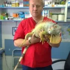 Afacere 1 imagine CABINET VETERINAR DR. LAURENTIU ISPAS Veterinari şi clinici veterinare în Ploieşti PH