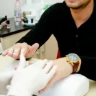 Afacere 3 imagine CAPRICE BEAUTE SRL Servicii de epilare în Oradea BH