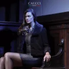 Afacere 1 imagine CAUCCI SRL Servicii profesionale în Otopeni IF