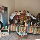 Afacere 5 imagine CENTRUL CULTURAL VRANCEA Centre culturale în Focşani VN
