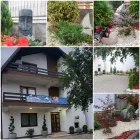 Afacere 2 imagine CENTRUL MEDICAL VIVAMED Sănătate şi Medicină în Braşov