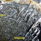 Afacere 5 imagine CICITOMUS Materiale pentru acoperişuri în Bucureşti