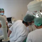 Afacere 2 imagine CISO Stomatologi şi cabinete stomatologice în Bucureşti