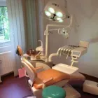 Afacere 3 imagine CISO Stomatologi şi cabinete stomatologice în Bucureşti