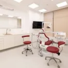 Afacere 3 imagine CLINICA STOMATOLOGICĂ DR. LEAHU PIAȚA ALBA IULIA (BUCUREȘTI) Stomatologi şi cabinete stomatologice în Bucureşti IF