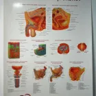 Afacere 4 imagine CMI DR. CHIRITA DANIEL Sănătate şi Medicină în Piatra-Neamţ NT