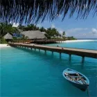 Afacere 1 imagine CORINA ALEXANDRU PFA Servicii profesionale în Ulmi DB