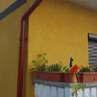 Afacere 43 imagine CRYSTAL GLASS THERMO SRL Uşi, ferestre şi accesorii în Suceava