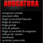 Afacere 1 imagine DECALEX Servicii legale şi financiare în Bucureşti