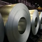 Afacere 9 imagine DEPOZITUL DE TABLA INTERNATIONAL SRL Producători şi distribuitori de garduri şi porţi în Galaţi
