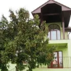 Afacere 3 imagine DIKA CONSTRUCT Servicii profesionale în Braşov