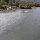 Afacere 3 imagine DIRECTIA SILVICA CARAS-SEVERIN Silvicultură şi alte activităţi forestiere în Reşiţa CS