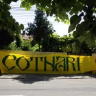 Afacere 1 imagine DRAPELUL PERSONALIZAT SRL Steaguri, fanioane şi accesorii în Constanţa