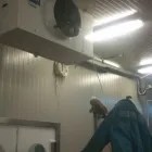 Afacere 2 imagine ELECTRO FRIGO STYLE Utilaje şi echipamente industriale în Buzău