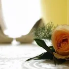 Afacere 1 imagine EVENTS BY DELIA OLTEAN Servicii profesionale în Sibiu