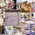 Afacere 3 imagine EVENTS BY DELIA OLTEAN Servicii profesionale în Sibiu