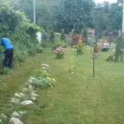 Afacere 5 imagine FARA PATA Uşi, ferestre şi accesorii în Piatra-Neamţ NT