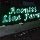 Afacere 8 imagine FDP DIVERS MEDIA PLUS SRL Servicii profesionale în Răzvad DB