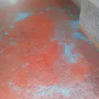 Afacere 21 imagine FLOOREXPERT Magazin cu materiale pentru podele în Oradea BH