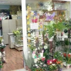 Afacere 1 imagine FLORARIA MISSELY Shopping în Baia Mare MM