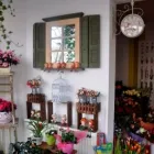 Afacere 1 imagine FLOWERS & GIFTS SHOP Shopping în Braşov